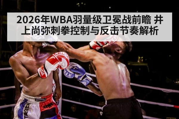 boxer training gloves